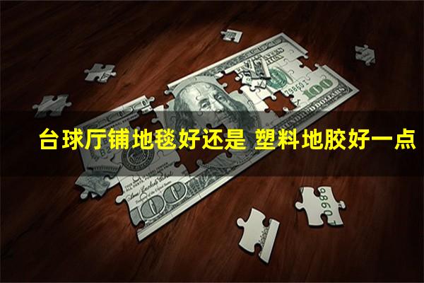 台球厅铺地毯好还是 塑料地胶好一点